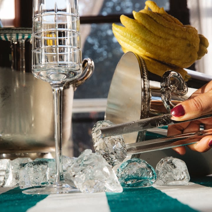 Malmaison Collection Christofle Barware | Christofle USA